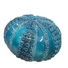Carapace riccio di mare colore AZZURRO  (dim: 25 x 25 x 20 cm)