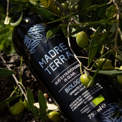 Nuovo Oleificio San Pasquale MADRE TERRA Olio extravergine d´oliva BIOLOGICO 75 cl in Cofanetto Legno