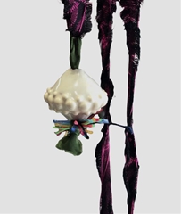 Collana Butone Piccolo CREMA - cm 3