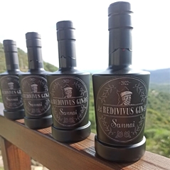 Mirto Sannai REDIVIVUS GIN SANNAI 2024 Bottiglia 25 cl
