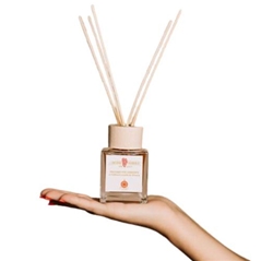 Profumatore per ambienti