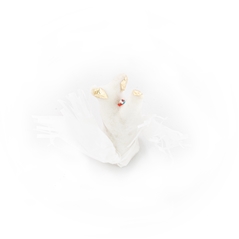 Uccellini - dolci Tipici