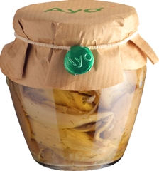 Funghi pleurotus ostreatus