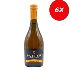 6 BOTTIGLIE di BIRRA ALE