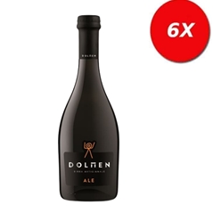 6 BOTTIGLIE di BIRRA ALE