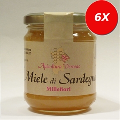 6 VASETTI di Miele di Sardegna Millefiori